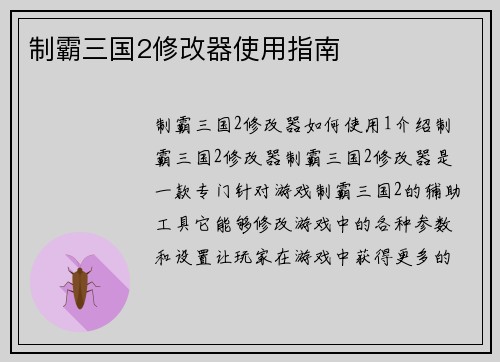 制霸三国2修改器使用指南